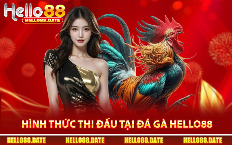 Các Hình Thức Thi Đấu Chính Tại Đá Gà Hello88