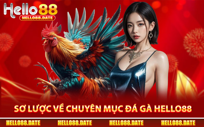 Sơ Lược Về Chuyên Mục Đá Gà Hello88